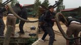 Thông tin mới vụ người dân bắt được rắn khổng lồ