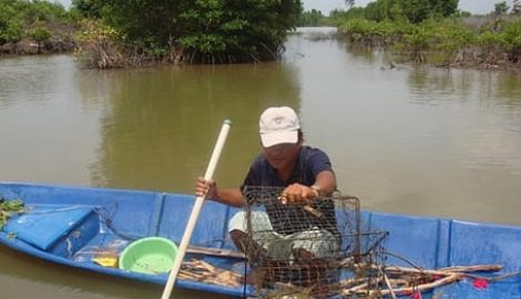 Câu cua ở Vườn Quốc gia Xuân Thủy