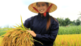 [Thơ] về Gái Thành Nam