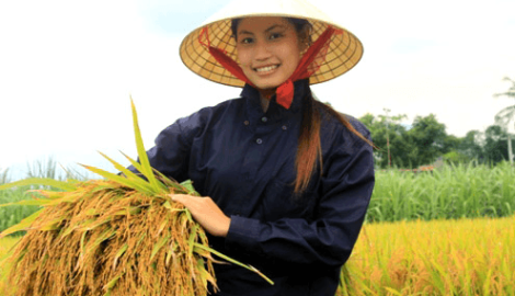 [Thơ] về Gái Thành Nam