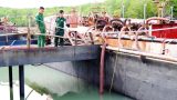 Tạm giữ phương tiện khai thác cát trái phép trên vùng biển Cần Giờ Tạm giữ phương tiện khai thác cát trái phép trên vùng biển Cần Giờ