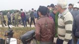 Thấy gì sau những vụ… án tình?