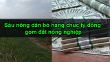 Nghĩa Hưng: Sáu nông dân bỏ hàng chục tỷ đồng gom đất nông nghiệp