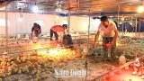 Nghĩa Hưng: Chủ động phòng, chống rét bảo vệ đàn gia súc, gia cầm