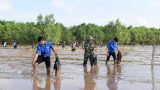 Thanh niên tiên phong thích ứng với biến đổi khí hậu Thanh niên tiên phong thích ứng với biến đổi khí hậu