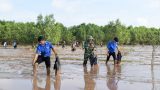Thanh niên tiên phong thích ứng với biến đổi khí hậu
