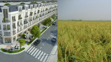 Điều chỉnh quy hoạch sử dụng đất đến năm 2020 tỉnh Nam Định Điều chỉnh quy hoạch sử dụng đất đến năm 2020 tỉnh Nam Định