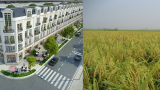 Điều chỉnh quy hoạch sử dụng đất đến năm 2020 tỉnh Nam Định