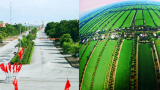 Cách nào để Nam Định về đích nông thôn mới sớm nhất nước?