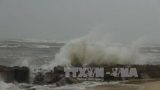 Tin bão số 3 mới nhất: Tâm bão trên biển Nam Định, Quảng Ninh