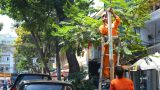 Hai đường bị cấm dừng xe sau tin nhắn gửi ông Đinh La Thăng