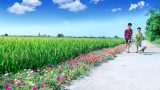 Nam Định: Xây dựng nông thôn mới kiểu mẫu