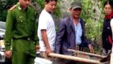 Thai nhi 30 tuần đựng trong hộp nhựa