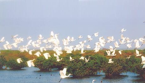Nam Định – Vườn Quốc Gia Xuân Thủy