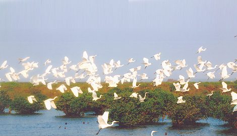 Nam Định – Vườn Quốc Gia Xuân Thủy