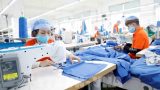 Nam Định May Nam Tiến sẽ tạo thêm việc làm cho khoảng 5.000 lao động