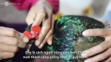 Giao Thủy: Nuôi chim trĩ ‘đeo kính’ thu lãi 300 triệu mỗi năm