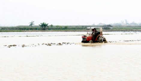 Vụ Bản, Nam Định: Phát triển thủy lợi trong xây dựng Nông thôn mới