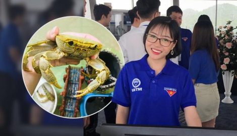 Cô gái Nam Định nuôi cua đá như thú cưng: 2 lần thoát khỏi nồi đã thành cái duyên