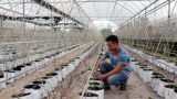 Nông thôn Nam Định đang tiếp cận phát triển ở trình độ cao hơn