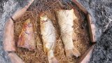 Đặc sản Nam Định: Cá nướng úp chậu