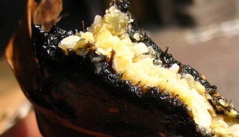 Đặc sản Nam Định: Bánh gai Bà Thi