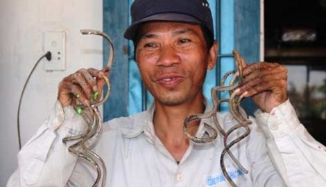 Nam Định: Gặp “dị nhân” 35 năm không cắt móng tay tại Giao Thủy