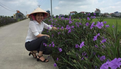 Mỹ Lộc: Lịm tim trước những con đường hoa chiều tím ở xã NTM
