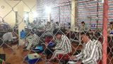 Sai lầm của người đàn ông bỏ quê lên phố lập nghiệp