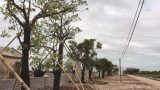 Xuân Trường: Biến bãi rác thành công viên