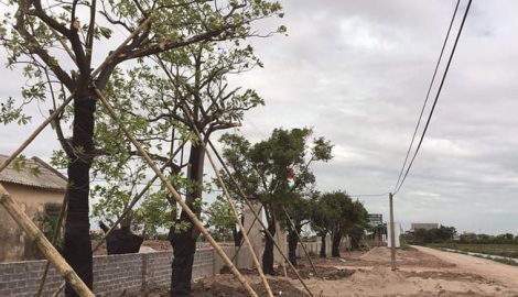 Xuân Trường: Biến bãi rác thành công viên