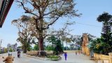 [Thơ] Nam Định Quê Ta