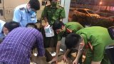 Тạm giữ đối tượng ở Nam Định vận chuyển hàng ngàn que test nhanh Covid-19 nhập lậu bán kiếm lời