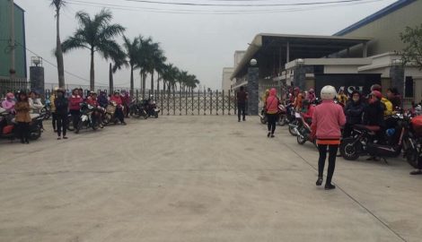 Nam Định: Hơn 400 công nhân Công ty TNHH kỹ thuật điện tử MLS Việt Nam trở lại làm việc