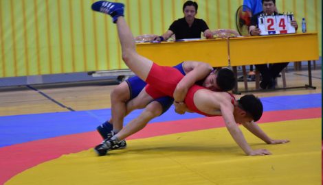 Nam Định đăng cai tổ chức Giải Cúp quốc gia Vật cổ điển, Vật tự do năm 2019