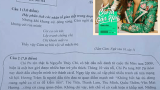 Đề thi Văn Lớp 10 yêu cầu HS hóa thân vào Chi Pu kể về cảm xúc khi bị Hương Tràm đá xéo