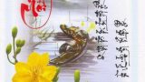 [THƠ] CHÚC MỪNG NĂM MỚI