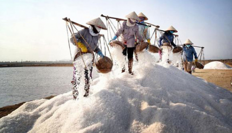 Muối – ‘vàng trắng’ của người dân Bạch Long, Nam Định