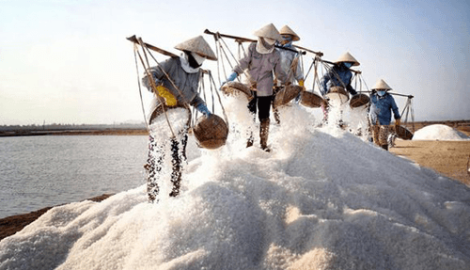 Muối – ‘vàng trắng’ của người dân Bạch Long, Nam Định