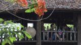 Nét đẹp cổ kính cây cầu Ngói 500 năm tuổi ở Nam Định