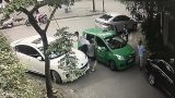 Cư dân mạng phẫn nộ trước hành vi của thanh niên đánh tài xế taxi người Nam Định