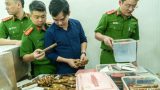 Nam tiế‌p viê‌n hàng không cầm đầu đường dây lớn buôn lậu xì gà