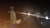 Tranh thủ trời tạnh ráo, nông dân Nam Định rủ nhau gặt đêm