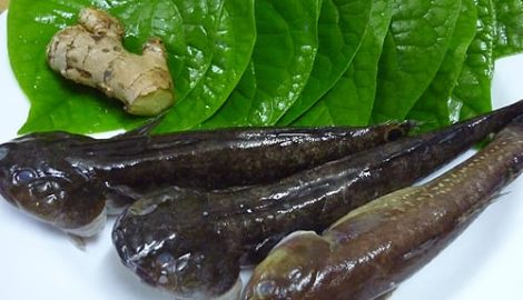 MÓN NGON NGÀY TẾT: Cá bống bớp 300.000 đ/kg được chị em “săn” ăn Tết