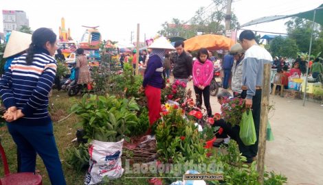 Nam Định: Nhộn nhịp Hội chợ Xuân Liễu Đề