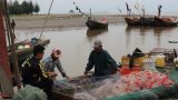 Nam Định kết hợp tuyên truyền với kiểm tra, xử lý nghiêm các tàu cá đánh bắt tận diệt