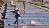Thị trấn Quất Lâm (Nam Định): Hoàn thành tốt chỉ tiêu nông thôn mới
