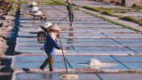 Thị trấn Quất Lâm (Nam Định): Hoàn thành tốt chỉ tiêu nông thôn mới