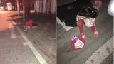 Vụ bé gái 5 tuổi lê la hè phố xin tiền: Hội LHPN tỉnh Nam Định vào cuộc