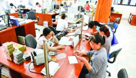 Agribank chi nhánh Nam Định: Cùng tổ vay vốn làm giàu